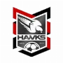 Holland Park Hawks