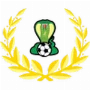 Adelaide Cobras