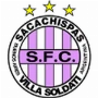 Sacachispas