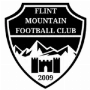 Flint Mountain