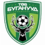 Central Stallions