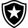 Botafogo U20