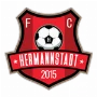 AFC Hermannstadt