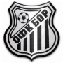 OFK Bor 1919
