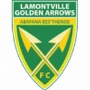 Golden Arrows