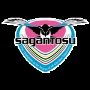Sagan Tosu