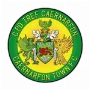 Caernarfon Town