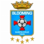Blooming