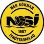 NSÍ II