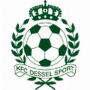 Dessel Sport