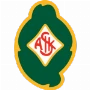 Skövde AIK