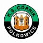 Górnik Polkowice
